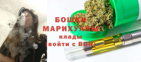 первитин Няндома