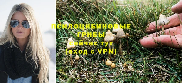 первитин Няндома