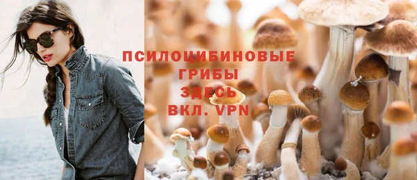 экстази Нязепетровск