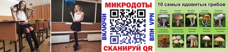 купить наркотик  Чехов  Псилоцибиновые грибы MAGIC MUSHROOMS 